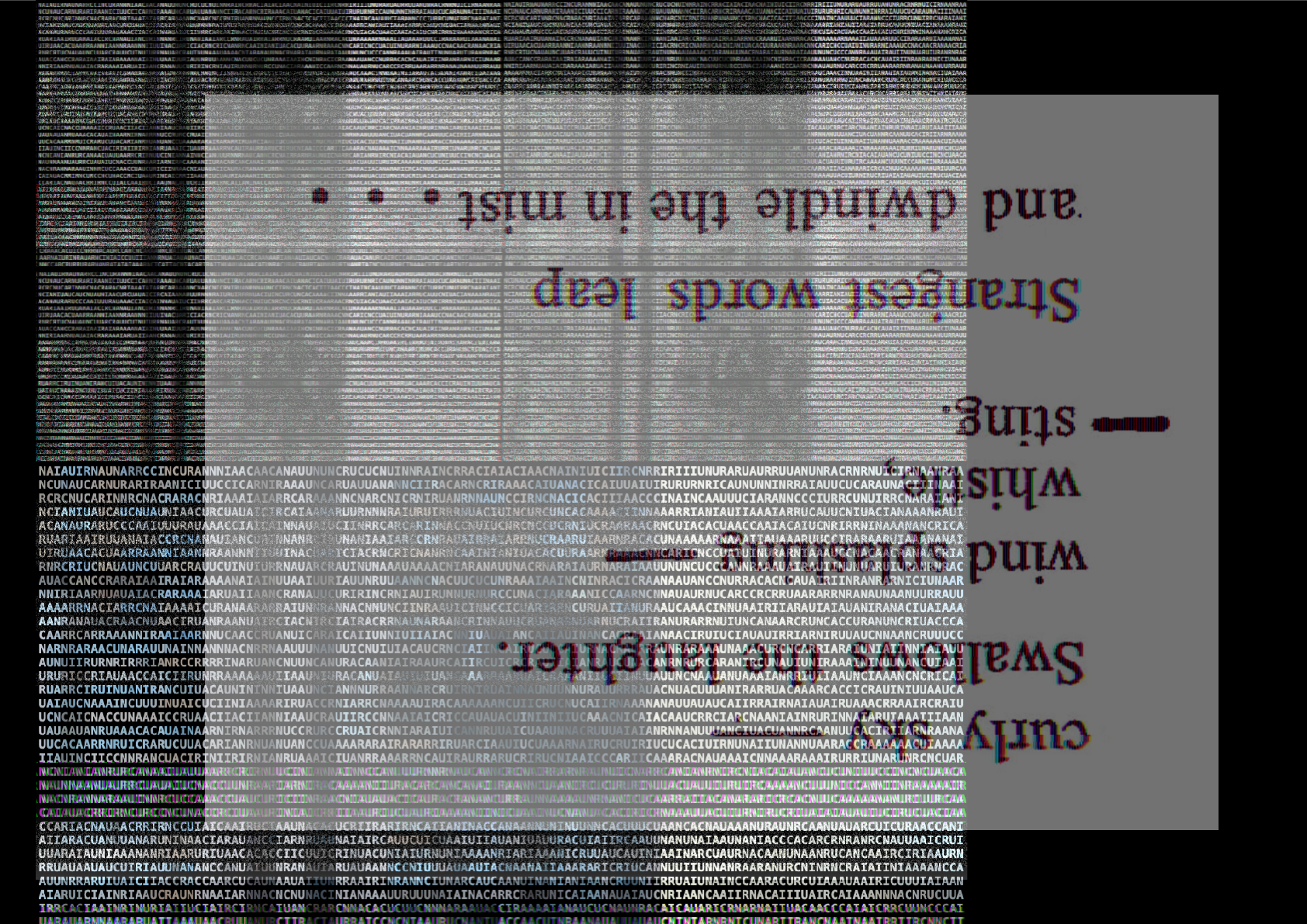 Kobor